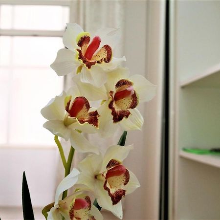 Beautiful Suite Lisboa Екстериор снимка